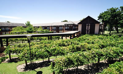 The Vines Resort -  Weddings & Private Functions - Perth